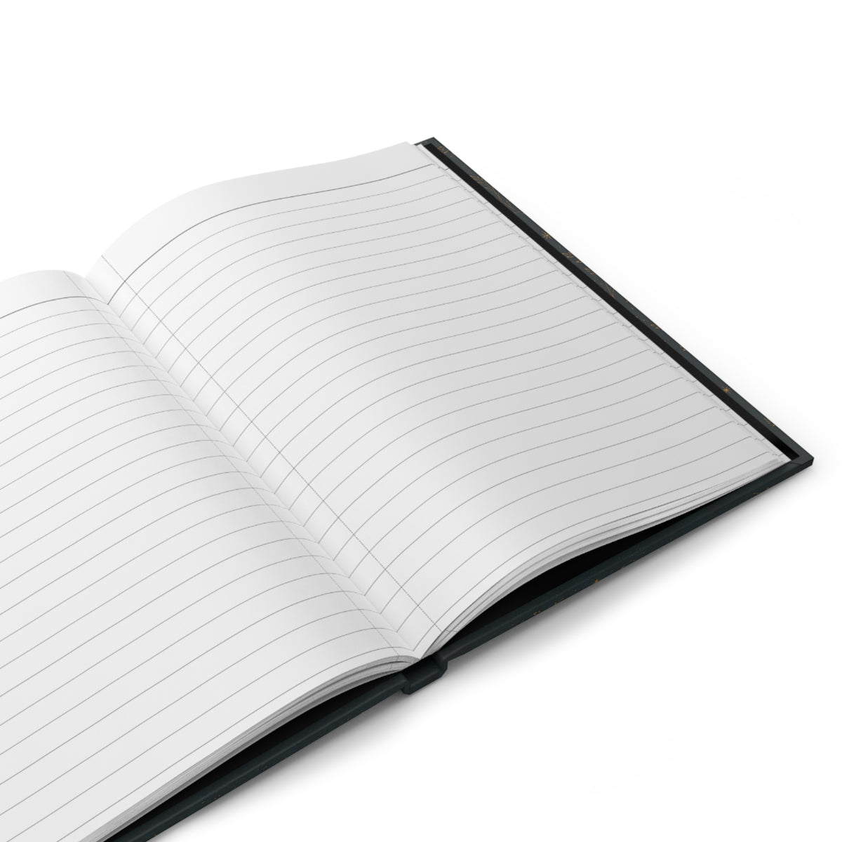 Open Sun and Moon journal showing blank lined pages inside